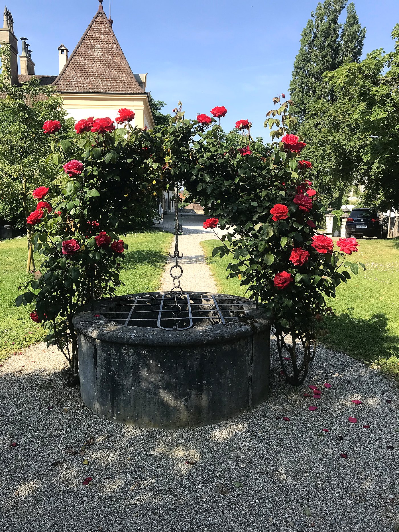 Roses et jardin ornemental